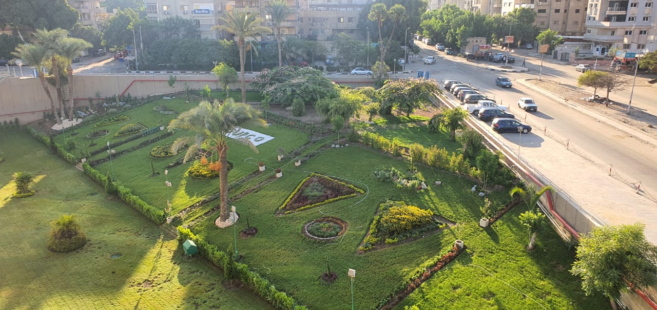 بلانت ميكس جابكو والهئية