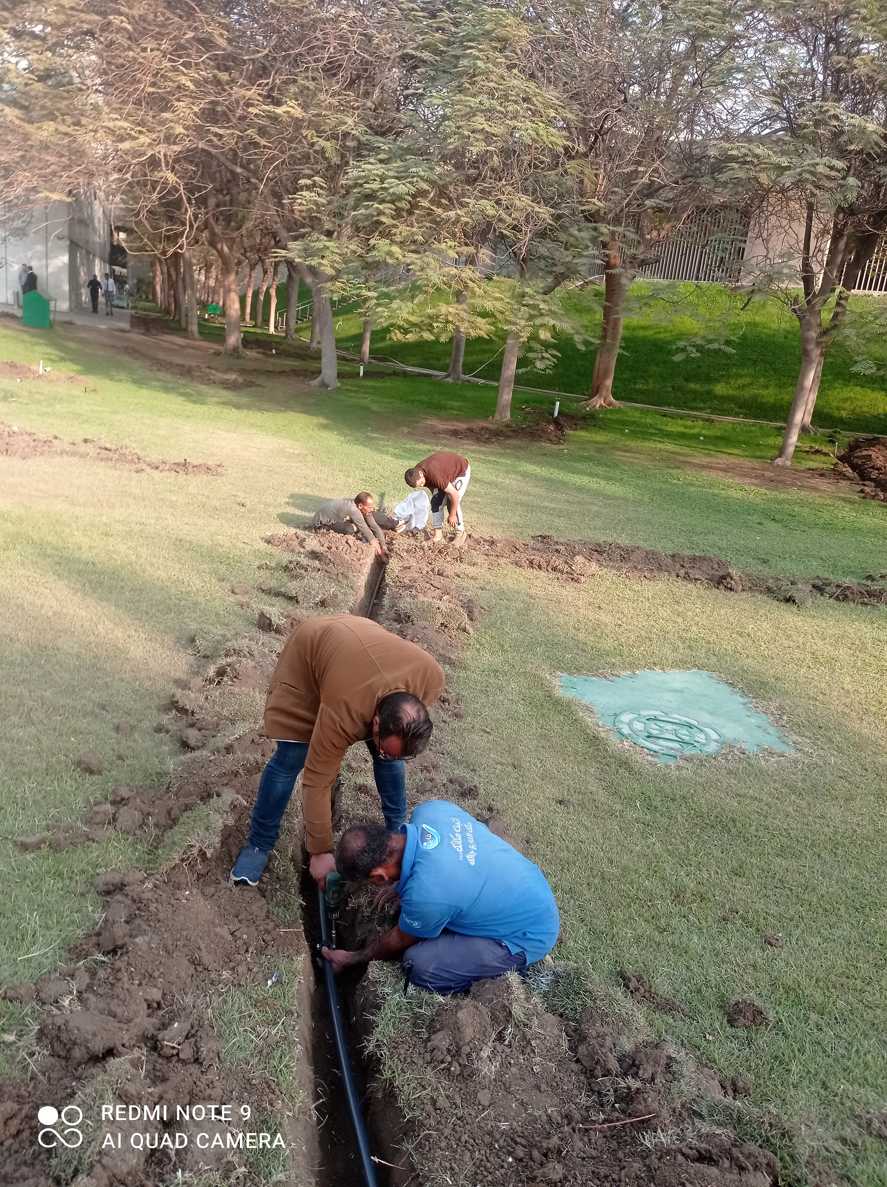 بلانت ميكس جابكو والهيئة